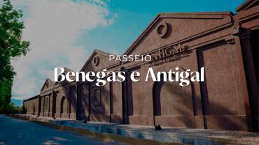 BENEGAS - ANTIGAL